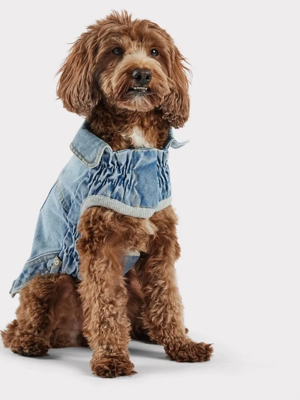 Dog 90s Inspired Jacket in Denim Blue